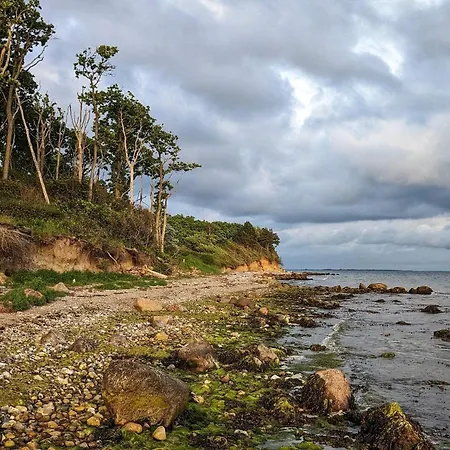 Hébergement de vacances 4 Star In *